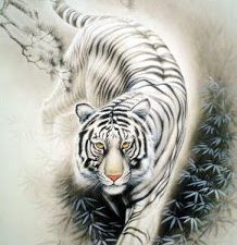 E’ l’ora della tigre bianca un cammino tra sogno e realtà : COVID19